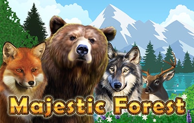 Majestic Forest